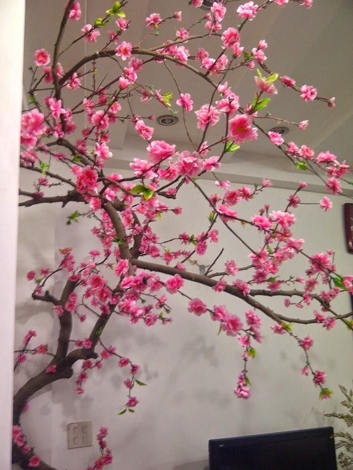 cây đào giả