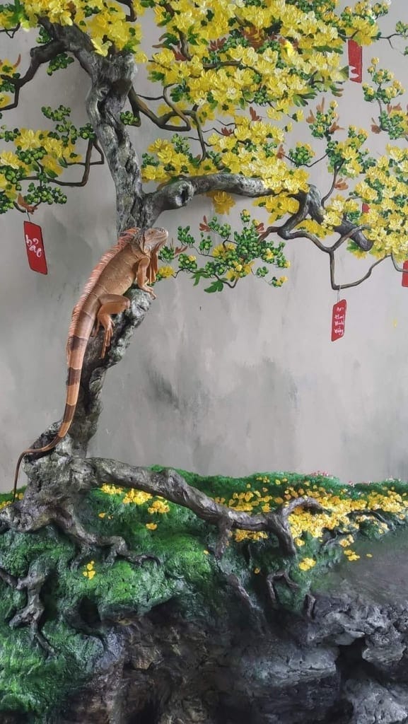 cây mai giả