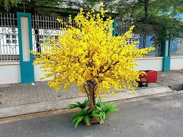 mẫu cây mai giả