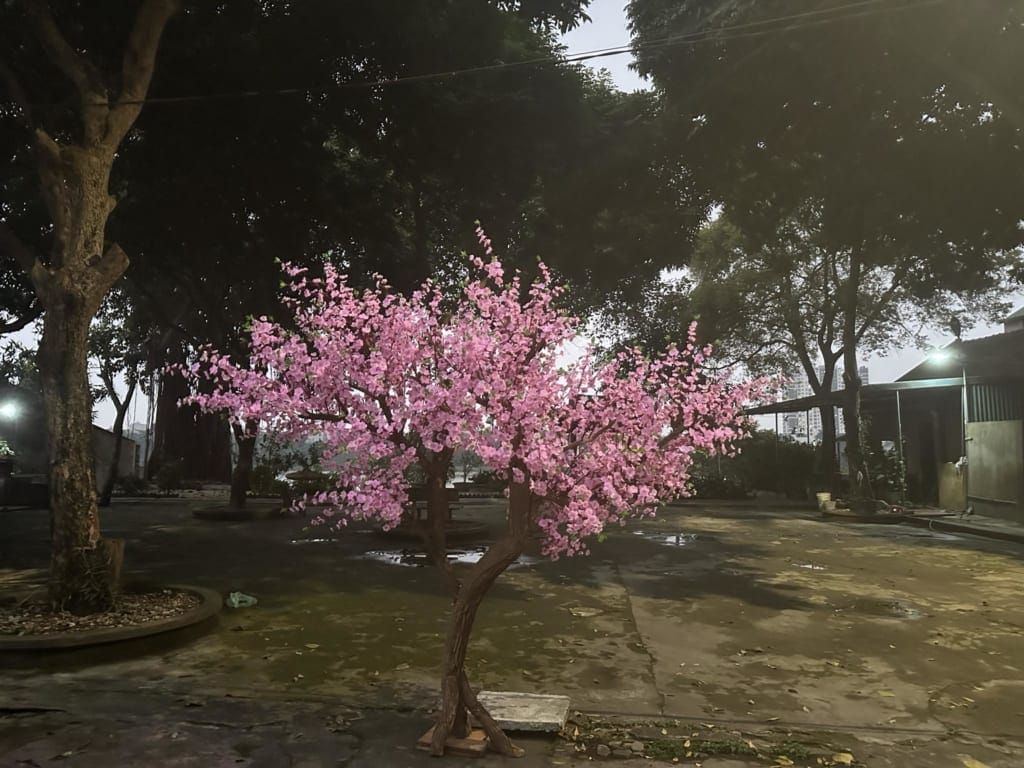 mẫu cây giả mẫu cây giả